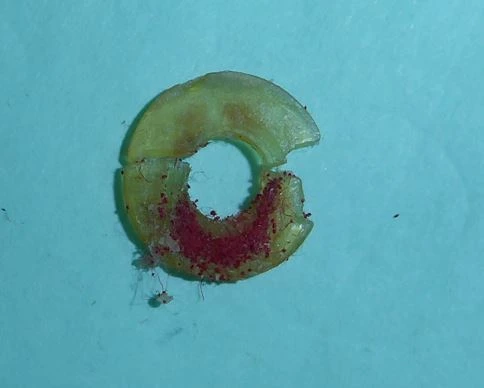 rondelle kawai caoutchouc