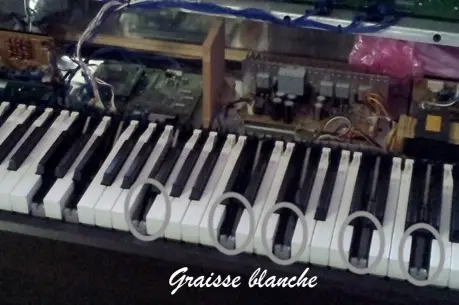 graisse blanche.webp